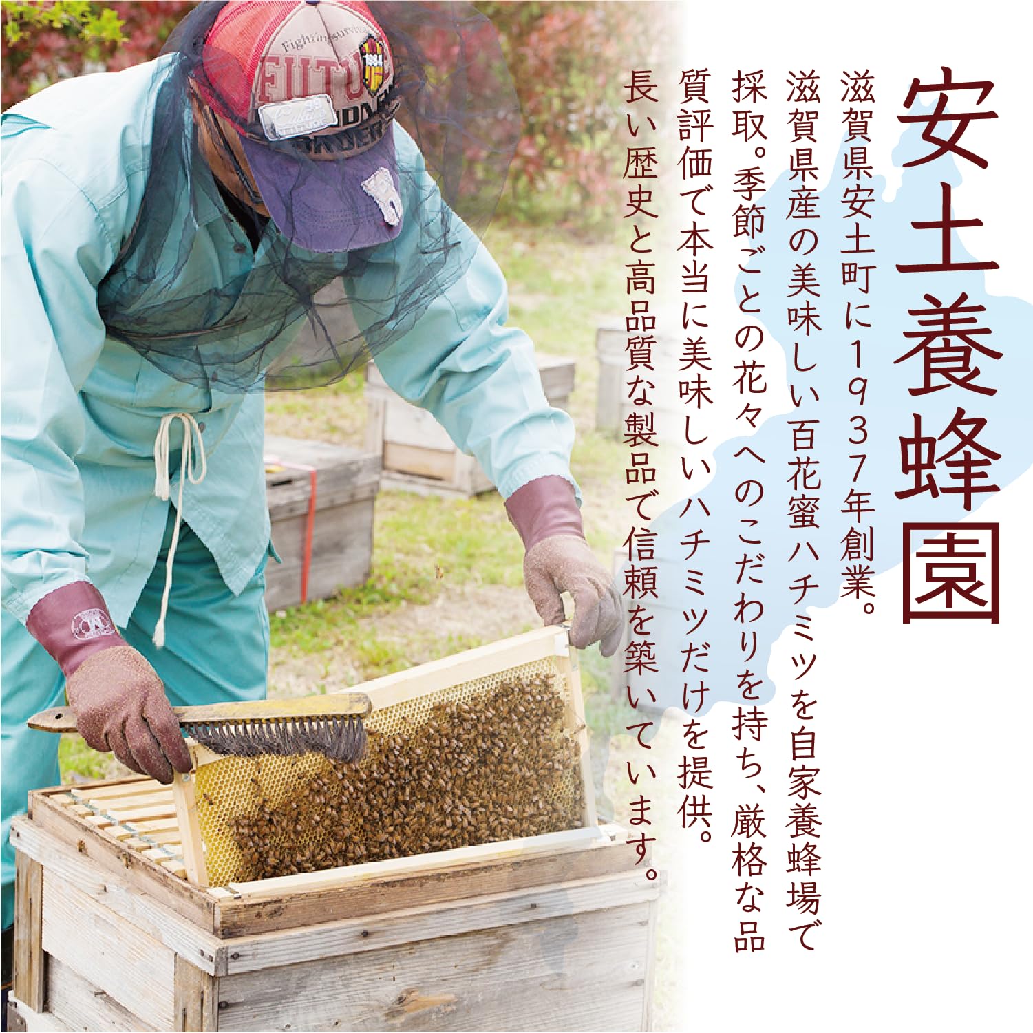 Amazon | 【はちみつ】安土の秘蜜｜創業80年 安土養蜂園の百花蜂蜜 非